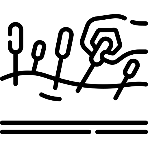 طب سوزنی